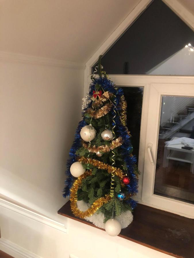 Ekaterina Appartment オデッサ エクステリア 写真